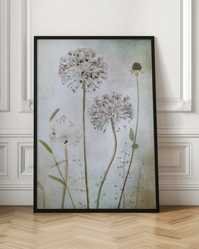 Allium Poster