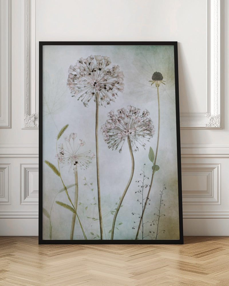 Allium Poster