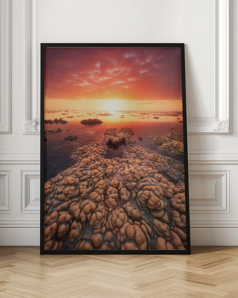 Low tide on the lagoon of Saint Leu. Poster