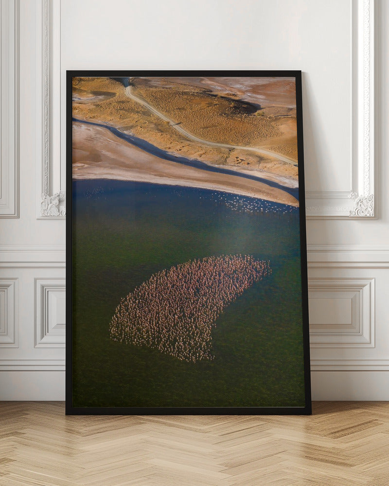 Flamingos on the Lake Poster