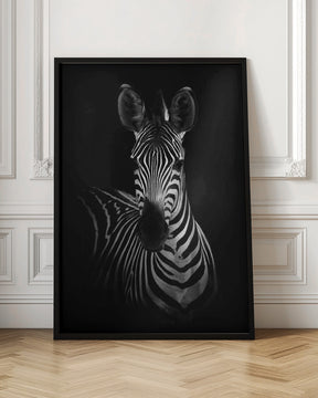 The Zebra Poster