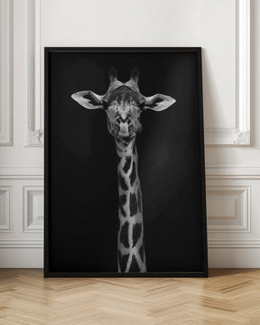 Giraffe Portrait Poster