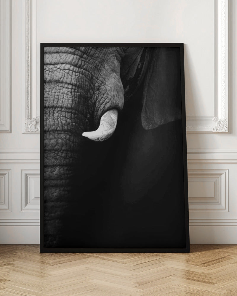 Elephant Portrait Poster