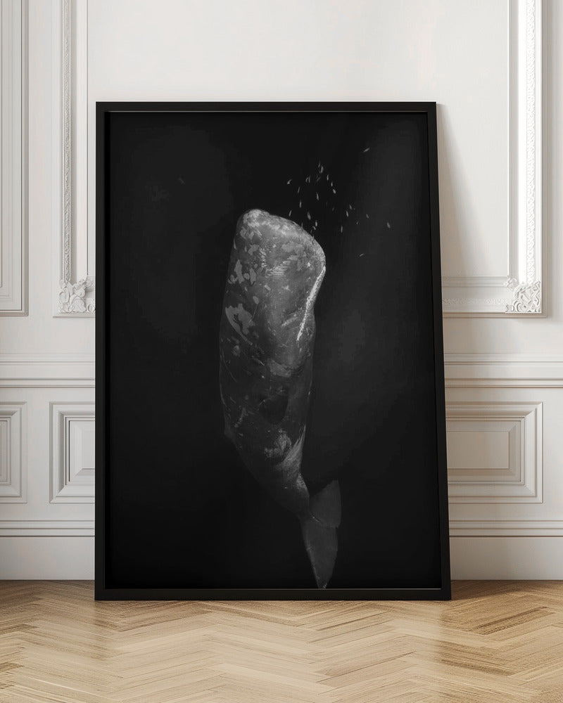 Black and whale Poster