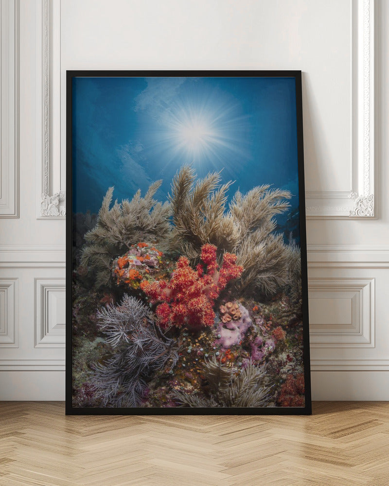 Underwater life Poster