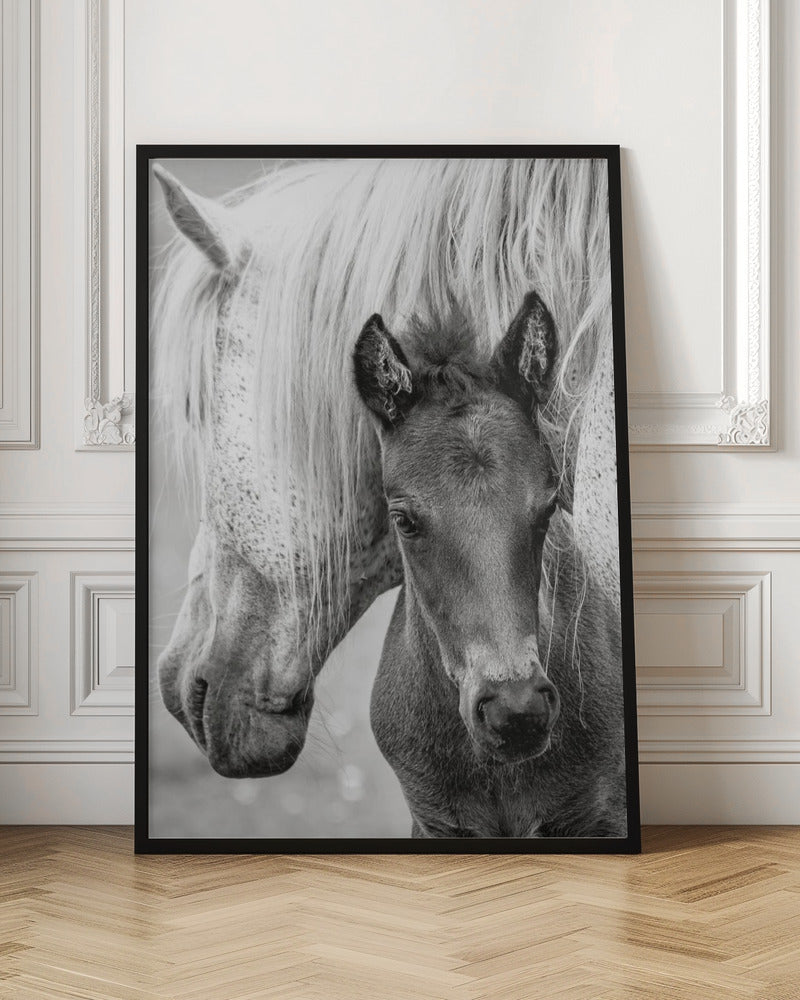 The Foal Poster