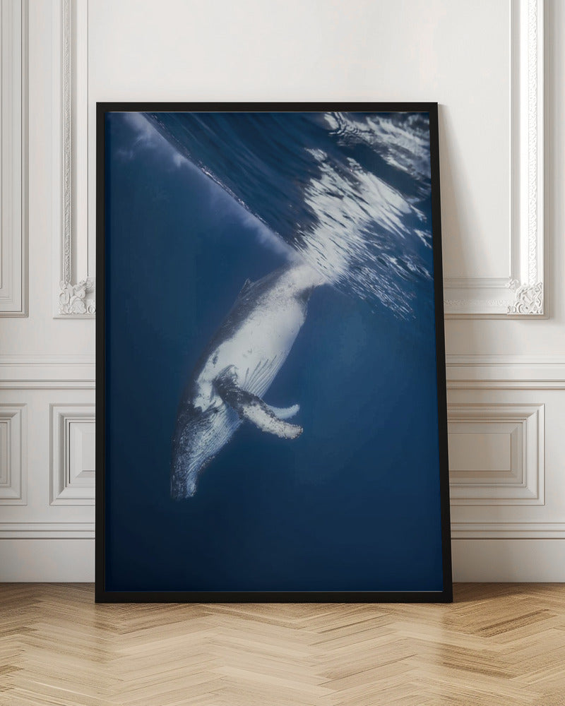 Reversing: Humpback Whale Poster