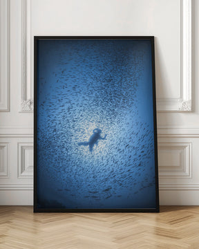 Diver and shoal of fish Poster