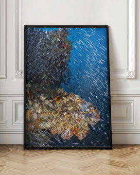 Coral reef under the sun of Raja Ampat. Poster