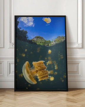 Flying jellyfish Poster