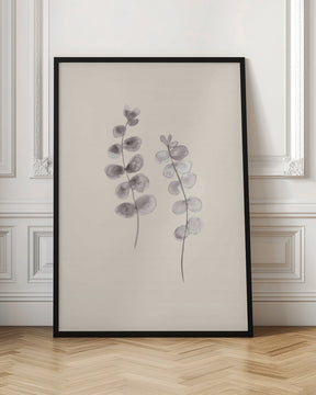 Eucalyptus Twigs Poster