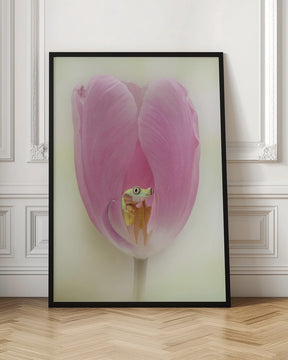 The Lemur Tree Frog and the Pink Tulip Poster