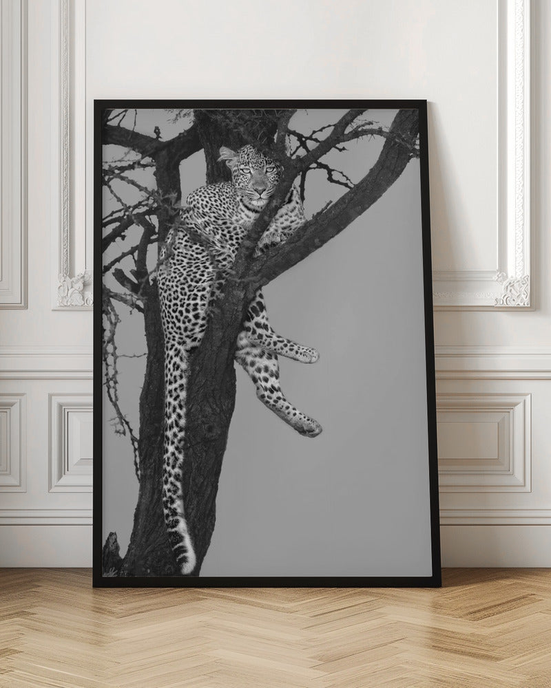 Rest On The Tree Poster