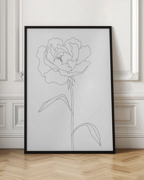 Peony Lines Poster