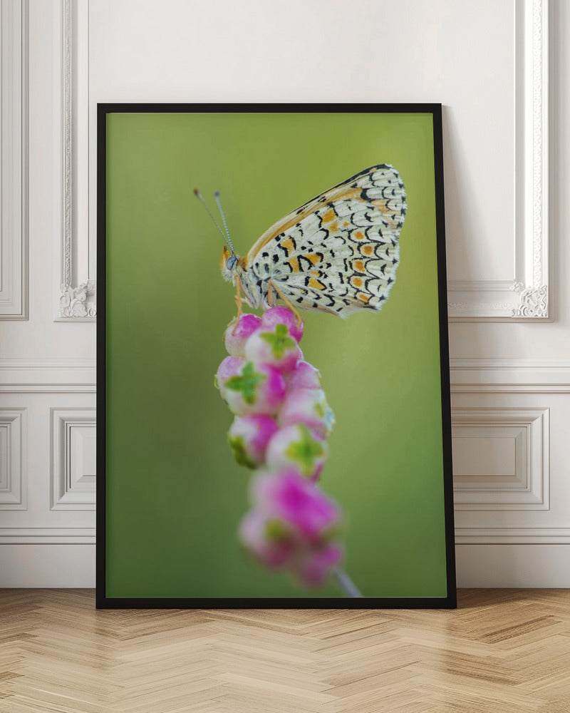 Butterfly at the tip Poster