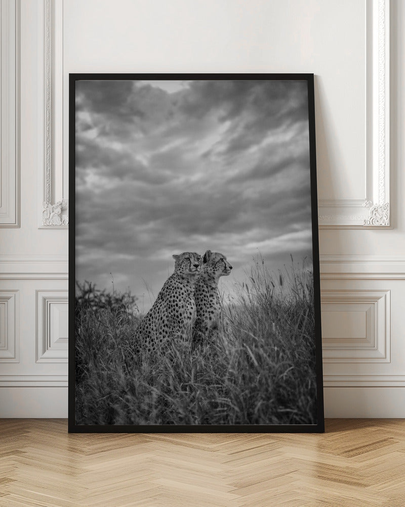 CHEETAH DREAMS Poster