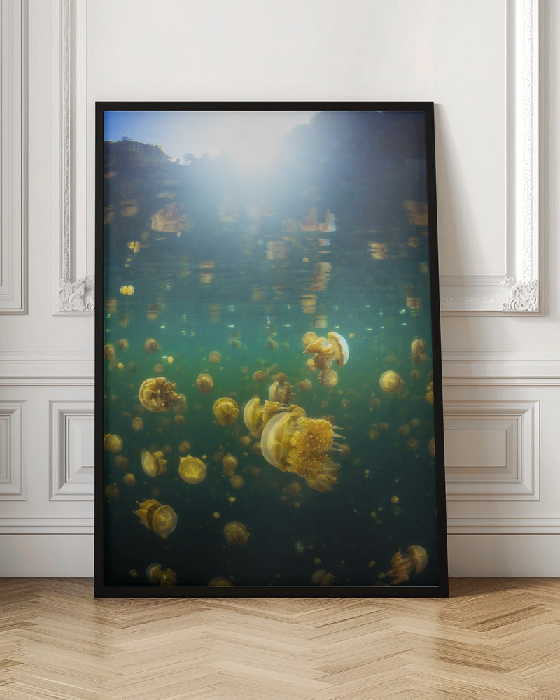 Lenmakana Jellyfish Poster