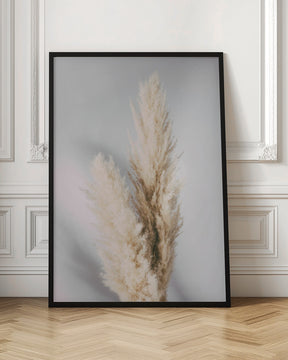 Pampas Grass Grey Poster