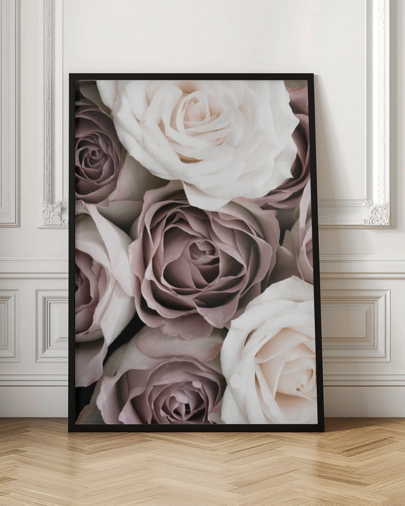 Roses Poster