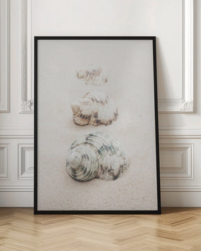 Shells Poster