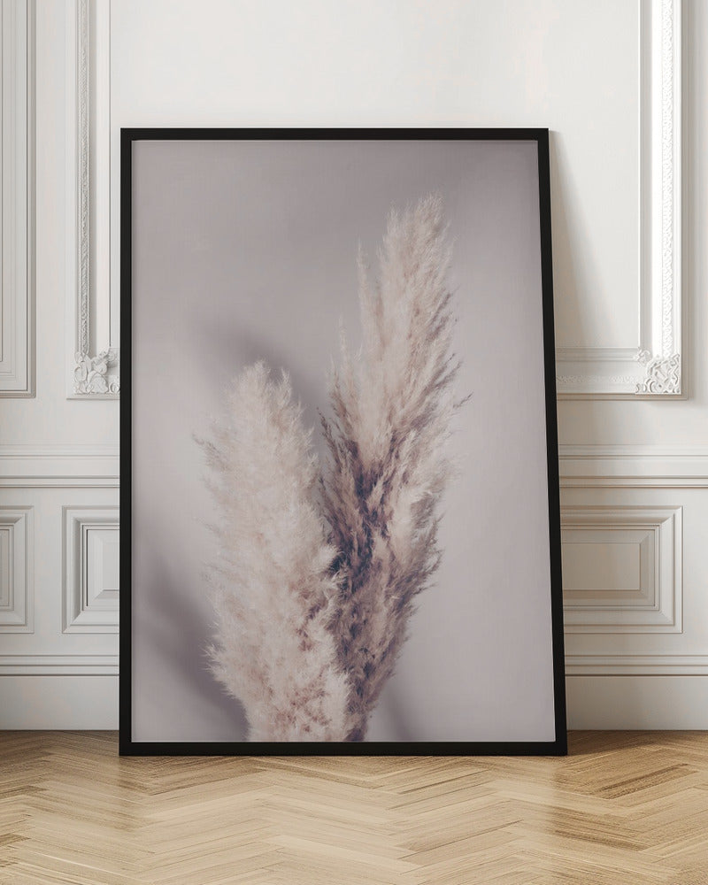 Pampas Grass Poster