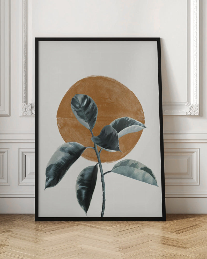 Sun and Ficus Poster