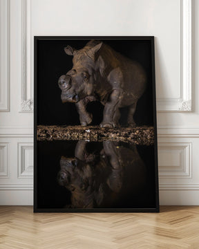 REFLEXION RHINO Poster