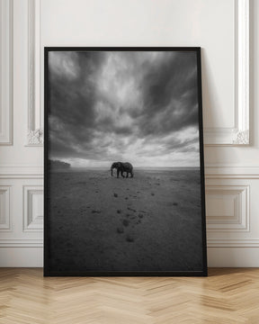 Amboseli Poster