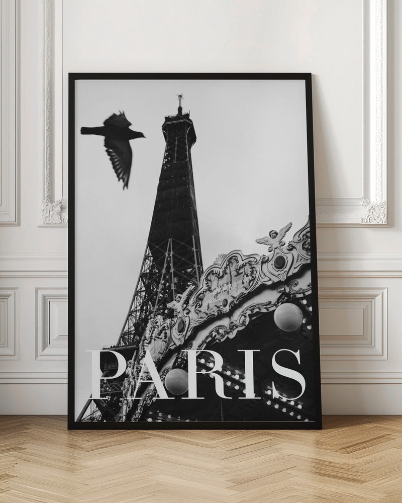 Paris Dove Poster