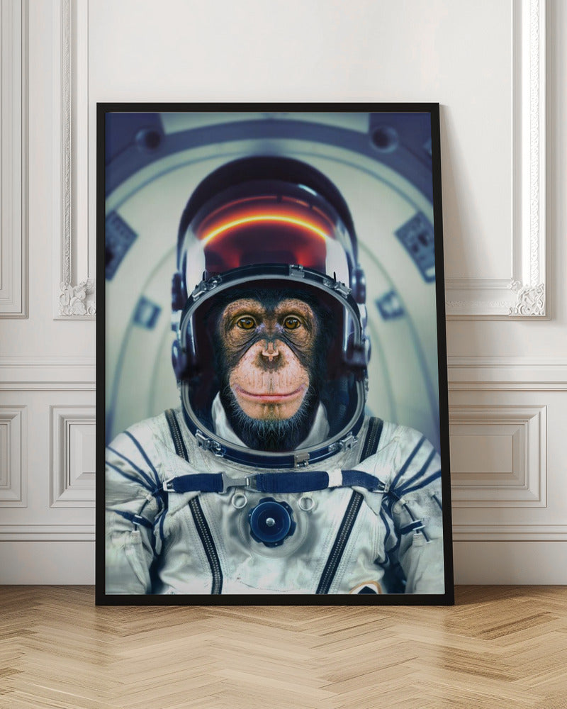 AstroMonkey Poster