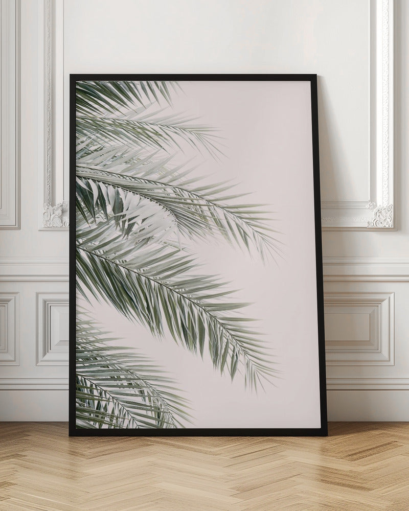 Blush Palm Leaves Poster