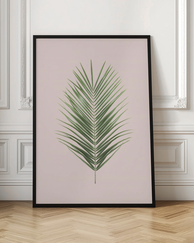 Palm Leaf Blush Poster