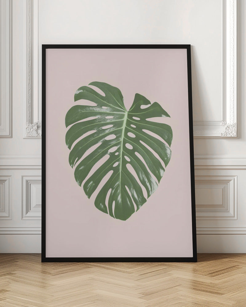 Monstera Leaf Blush Poster