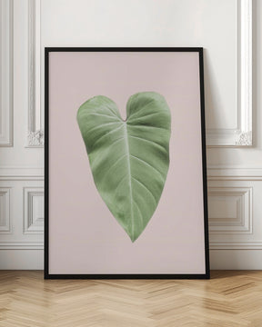 Tropical Leaf Blush Poster