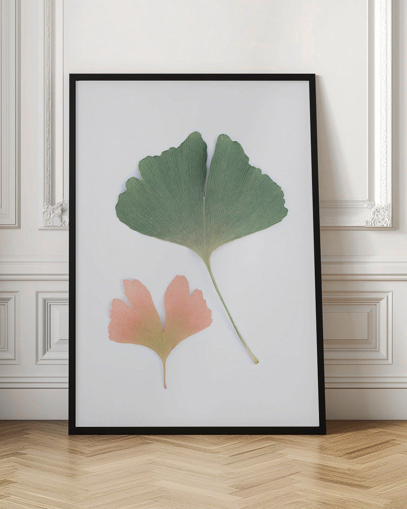 Pastel Ginkgo Poster