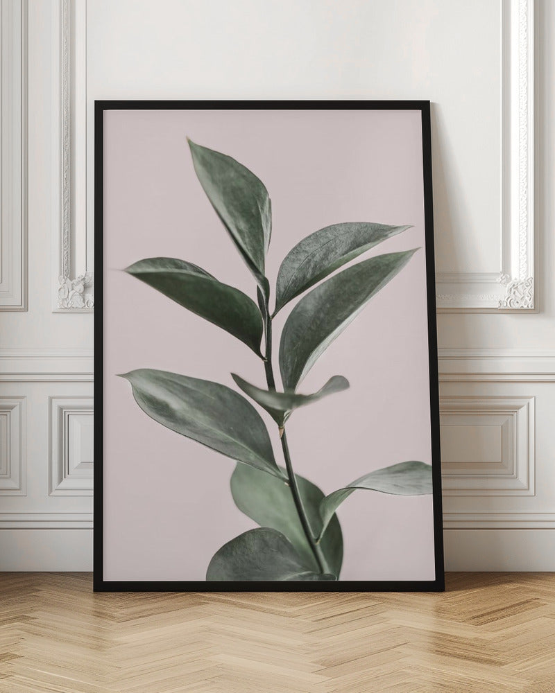 Foliage on Pink Poster