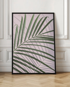 Palm Leaf Shadow Poster