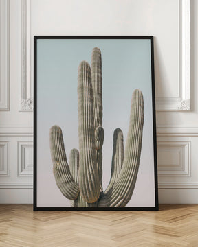 Saguaro Poster