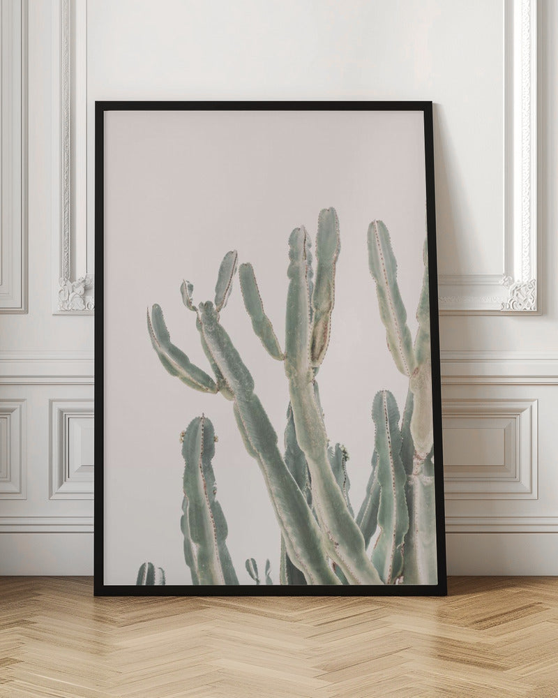 Sunrise Cactus Poster