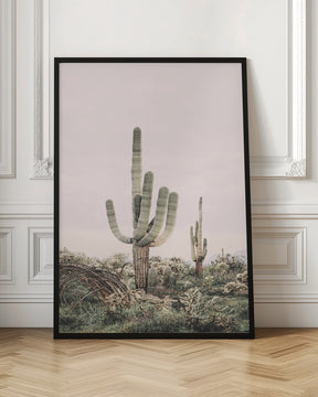 Pink Saguaro Poster