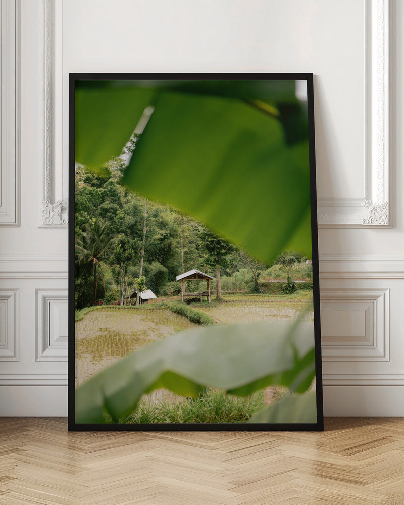 Tetebatu Lombok Poster