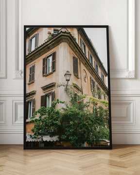 Botanical Trastevere Rome || Poster