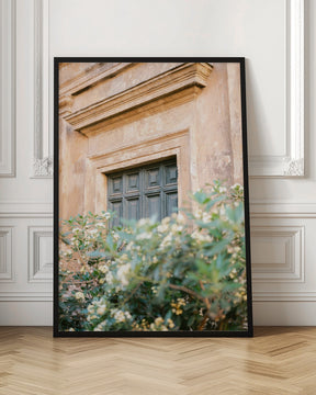 Botanical Trastevere Rome Poster