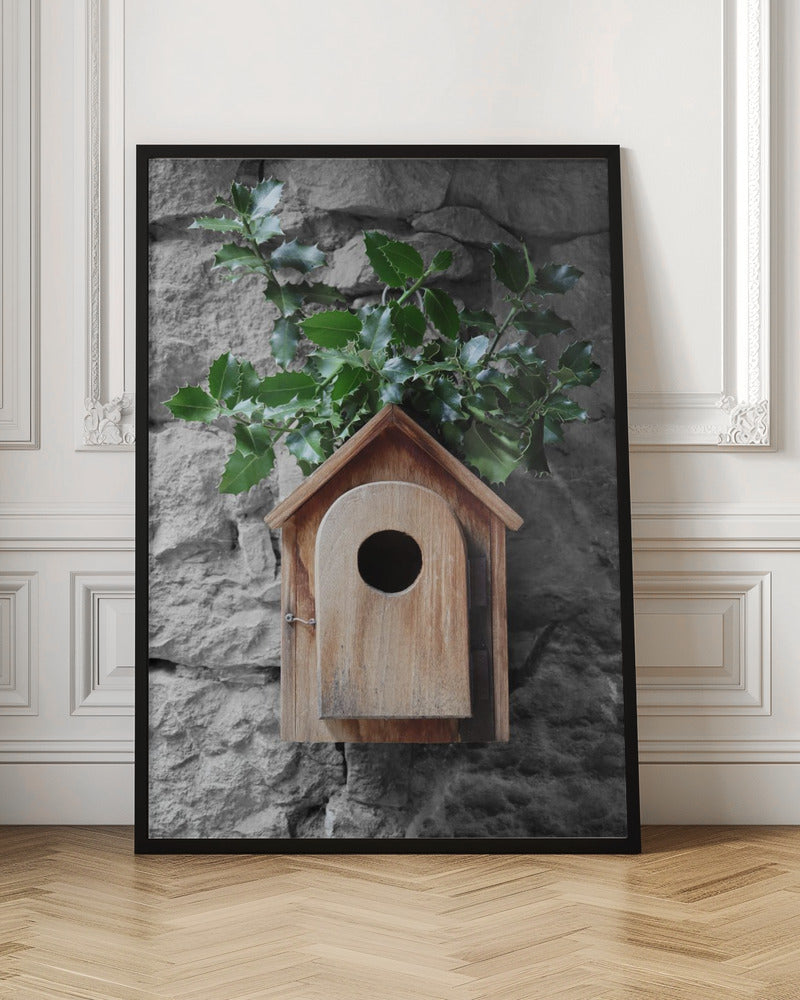 Holly birdhouse Poster