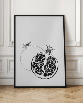 Line art pomegranates Poster