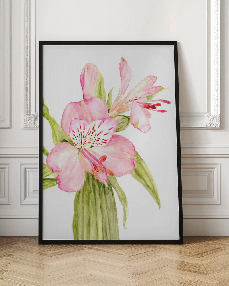 Pink watercolor alstroemeria Poster