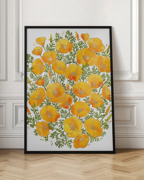 Gold accented California poppies Poster