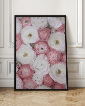 Scattered ranunculus in muted pink I Poster