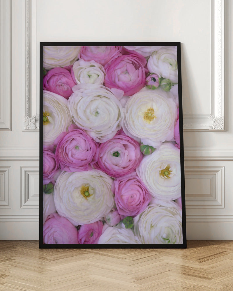 Scattered ranunculus in pink I Poster