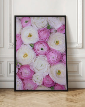 Scattered ranunculus in pink II Poster